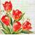 Serwetka do decoupage MAKI czerwone tulipany i napisy 33x33cm